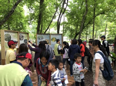 「南華林業園區」於28日桐花盛開季節，首次辦理友善市集與森林體驗，吸引了350名遊客前往 (8)